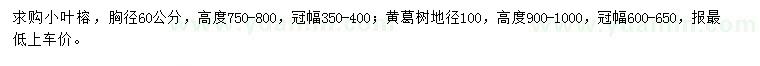 求購(gòu)胸徑60公分小葉榕、地徑1米黃葛樹(shù)