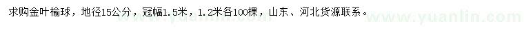 求購地徑15公分金葉榆球