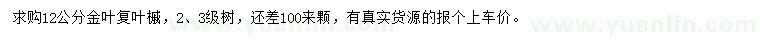 求購12公分金葉復葉槭