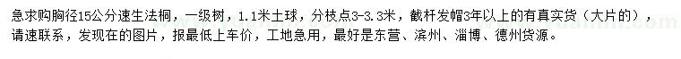 求購胸徑15公分速生法桐