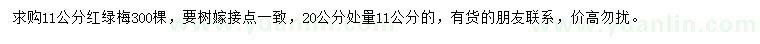 求購20量11公分紅綠梅