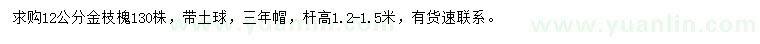 求購12公分金枝槐