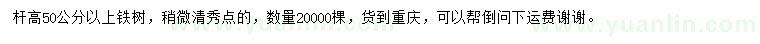 求購(gòu)桿高50公分以上蘇鐵