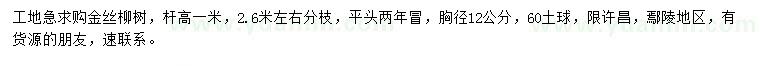 求購胸徑12公分金絲柳樹