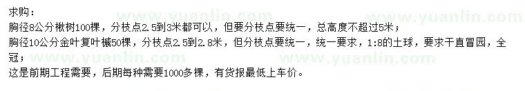 求購(gòu)胸徑8公分楸樹(shù)、胸徑10公分金葉復(fù)葉槭