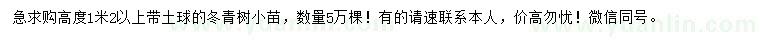 求購(gòu)高度1.2米以上冬青樹(shù)小苗
