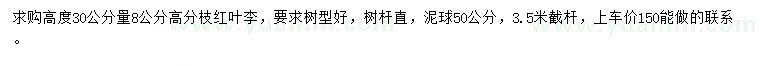 求購(gòu)高度30公分量8公分高分枝紅葉李