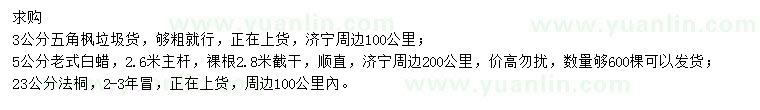 求購五角楓、老式白蠟、法桐