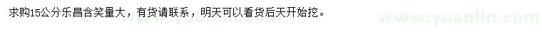 求購(gòu)15公分樂(lè)昌含笑