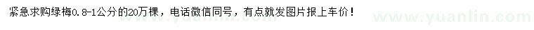 求購0.8-1公分綠梅
