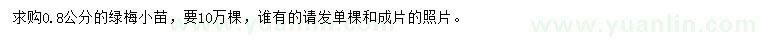 求購(gòu)0.8公分綠梅小苗