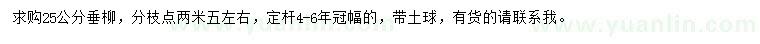 求購25公分垂柳