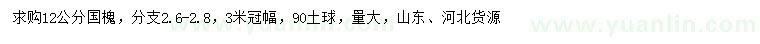 求購12公分國槐