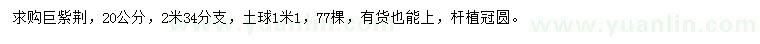 求購20公分巨紫荊
