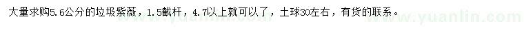 求購5.6公分紫薇