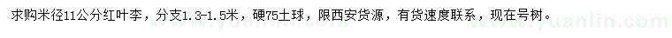 求購米徑11公分紅葉李