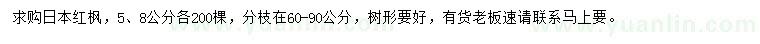 求購(gòu)5、8公分日本紅楓