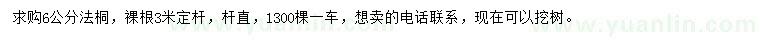 求購6公分法桐