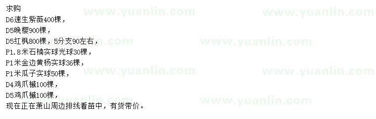 求購速生紫薇、晚櫻、紅楓等