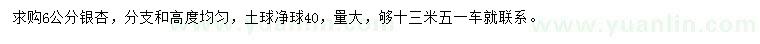 求購6公分銀杏