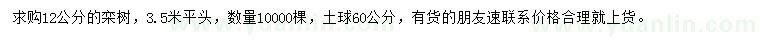 求購12公分欒樹