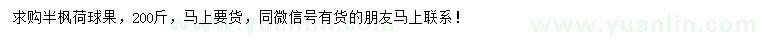 求購(gòu)半楓荷球果