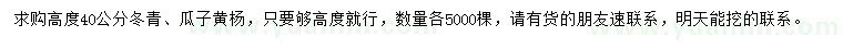 求購高度40公分冬青、瓜子黃楊