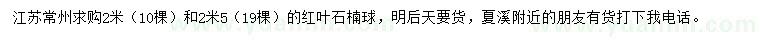 求購2、2.5米葉石楠球