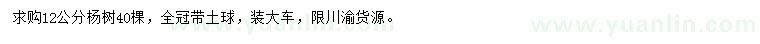 求購12公分楊樹