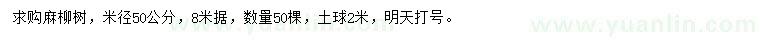 求購米徑50公分麻柳樹