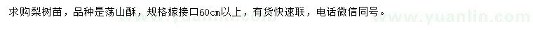 求購(gòu)蕩山酥梨樹苗