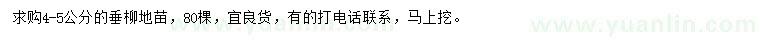 求購(gòu)4-5公分垂柳