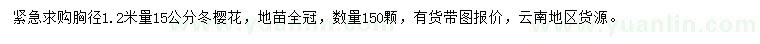 求購胸徑1.2米量15公分冬櫻花
