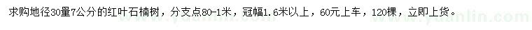 求購地徑30量7公分紅葉石楠樹