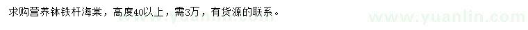 求購高度40公分以上鐵桿海棠