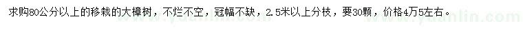 求購80公分以上大樟樹