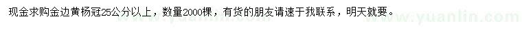 求購(gòu)冠25公分金邊黃楊
