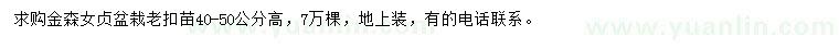 求購高40-50公分金森女貞