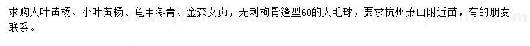 求購大葉黃楊、小葉黃楊、龜甲冬青等
