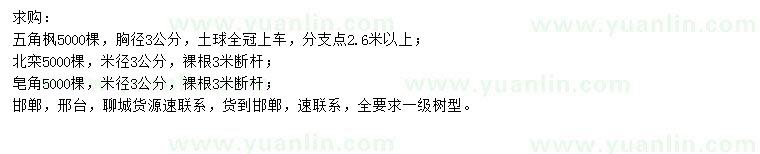 求購五角楓、北欒、皂角