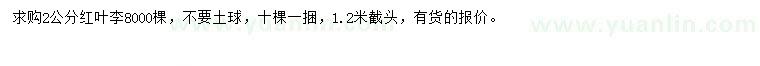 求購2公分紅葉李