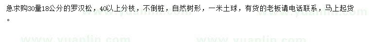 求購30量18公分羅漢松