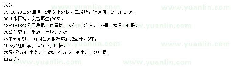 求購(gòu)國(guó)槐、五角楓、皂角等