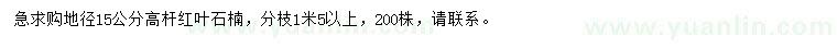 求購地徑15公分高桿紅葉石楠