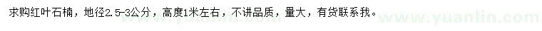 求購地徑2.5-3公分紅葉石楠