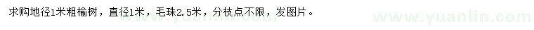 求購地徑1米榆樹