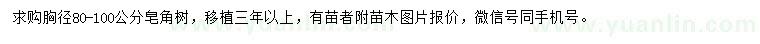 求購(gòu)胸徑80-100公分皂角樹(shù)