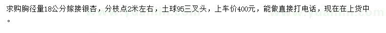 求購胸徑量18公分嫁接銀杏