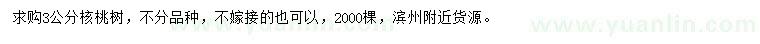 求購3公分核桃樹