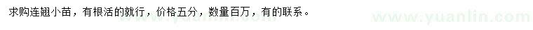 求購連翹小苗